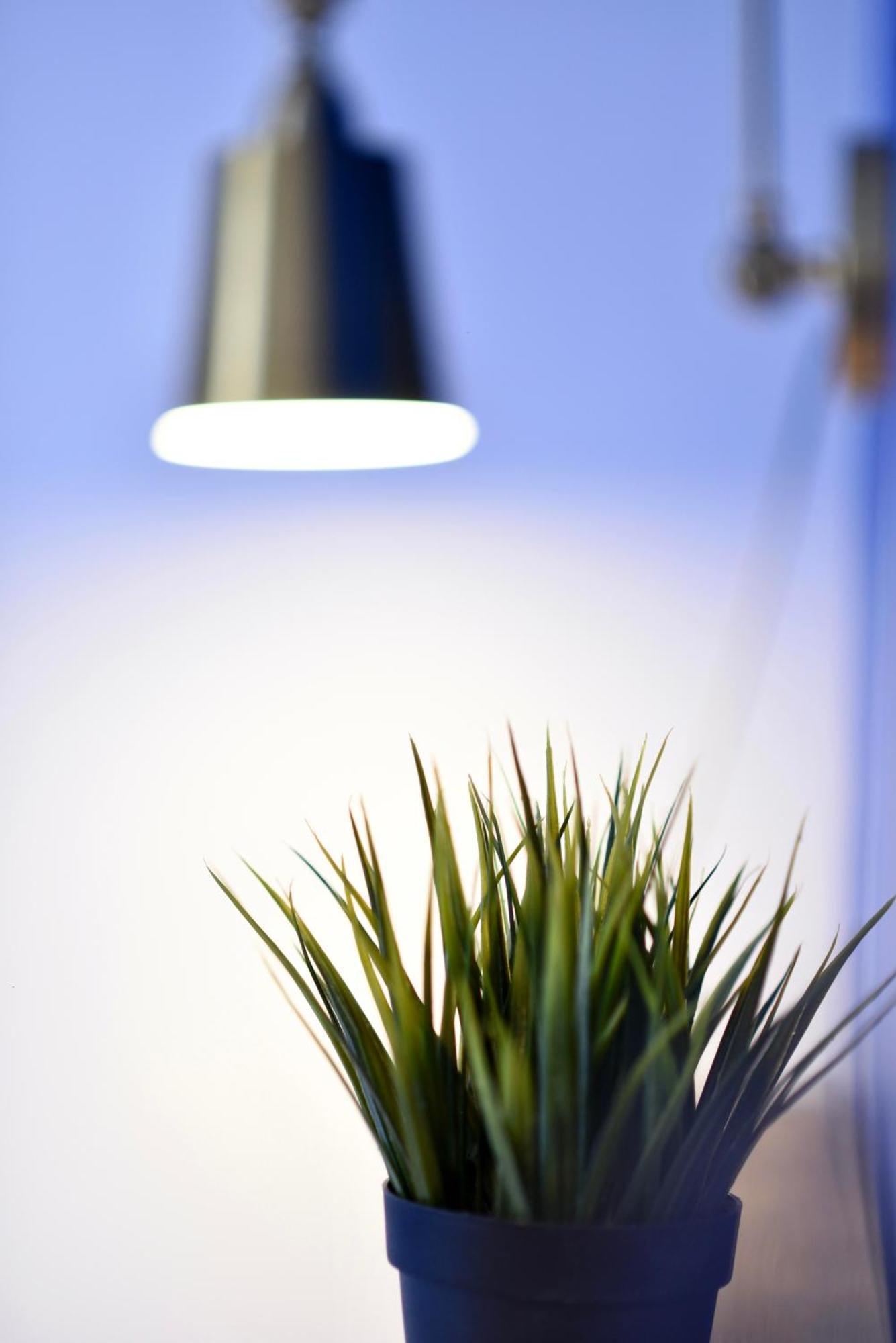 Hostel Draft Hostel&rooms Lissabon